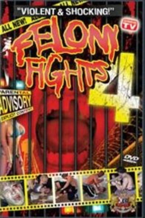 Movie poster for Felony Fights 4: Down and Dirty (2005)