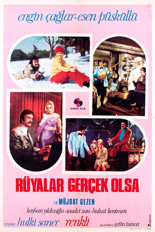 Movie poster for Rüyalar Gerçek Olsa (1972)