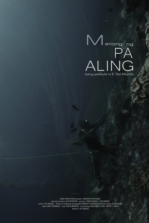 Movie poster for Man of Pa-Aling (2017)