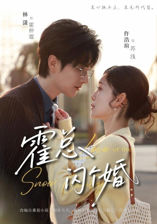 Series poster for 霍总，闪个婚 (2026)