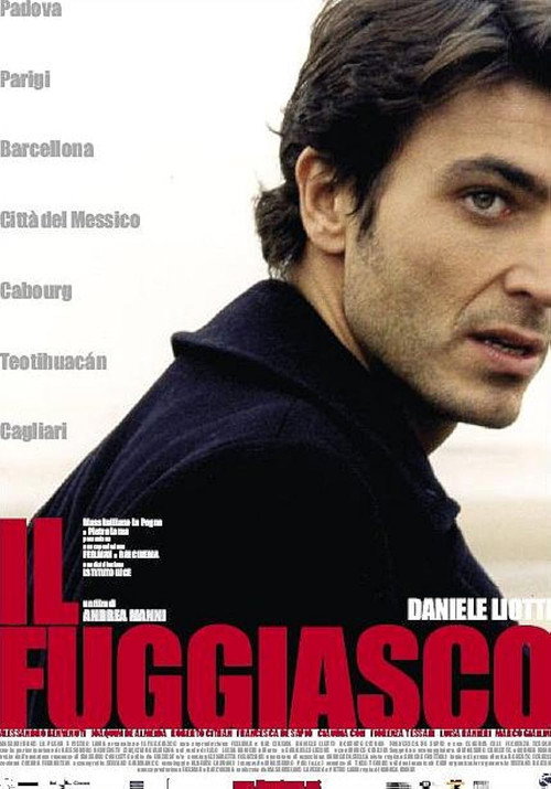 Movie poster for The Fugitive (2003)