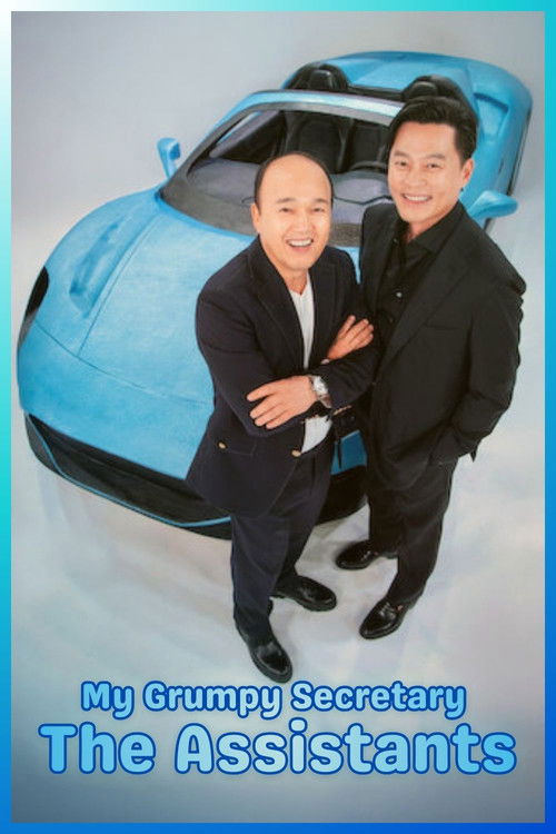 My Grumpy Secretary poster