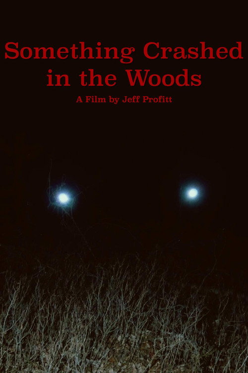 Movie poster for Something Crashed in the Woods (2019)