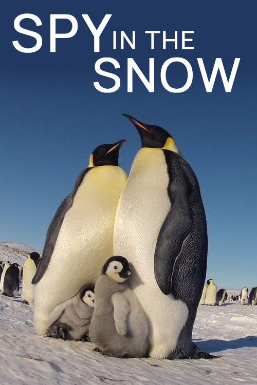 Movie poster for Spy in the Snow (2018)