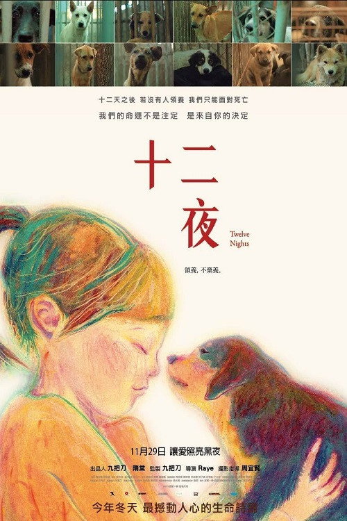 Movie poster for Twelve Nights (2013)