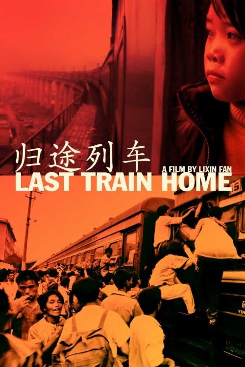 Movie poster for Last Train Home (2009)