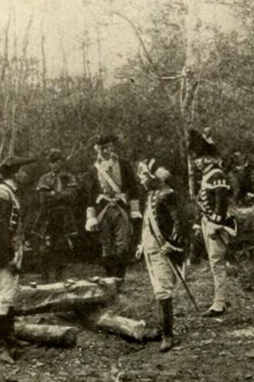 Movie poster for The Swamp Fox (1914)