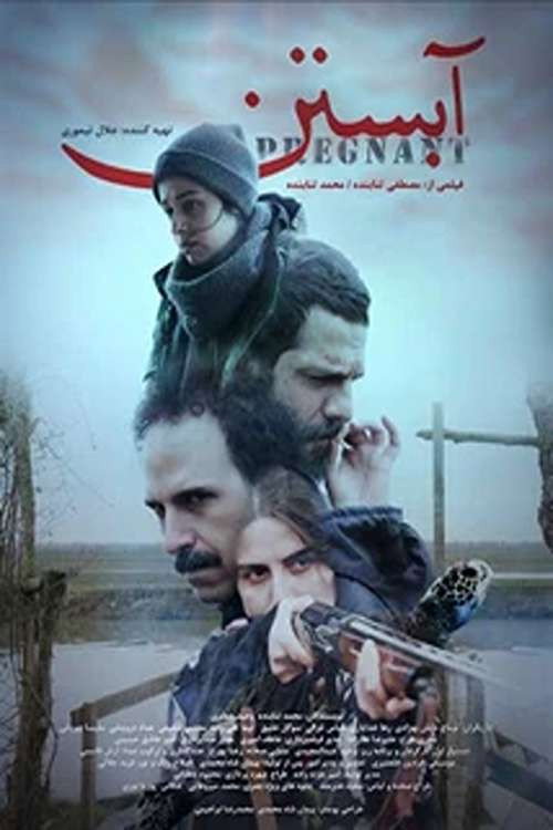 Movie poster for Pregnant (2025)