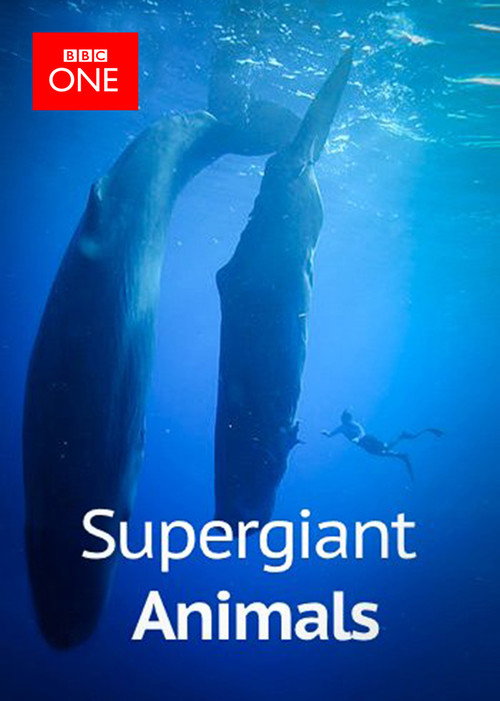 Movie poster for Supergiant Animals (2013)