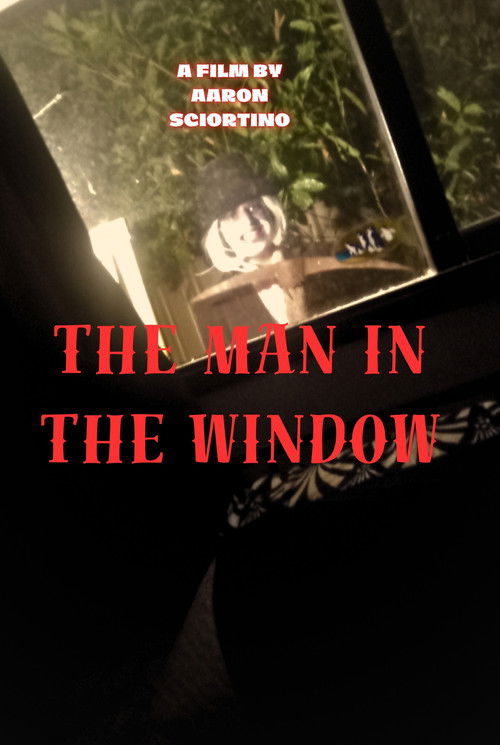 Movie poster for The man in the window (2024)