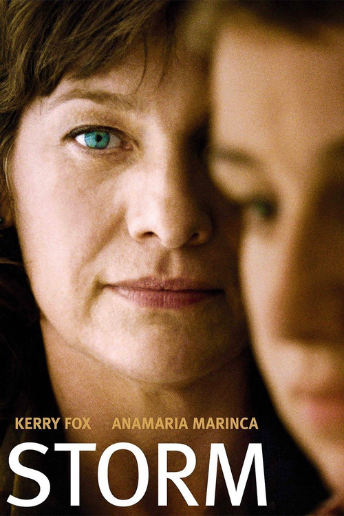 Movie poster for Storm (2009)