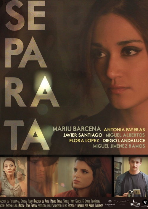 Movie poster for Audition Piece (2013)