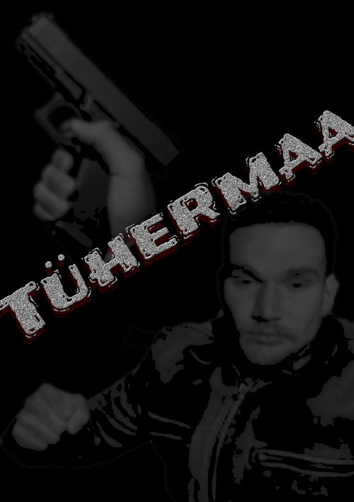 Movie poster for Tühermaa