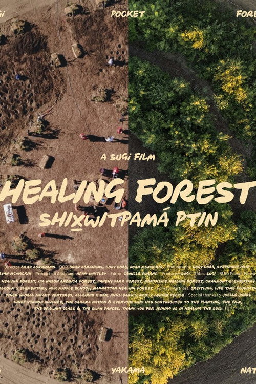 Movie poster for Healing Forest (2024)