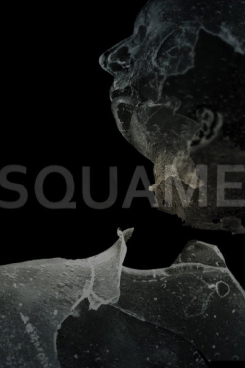 Movie poster for Squame (2015)