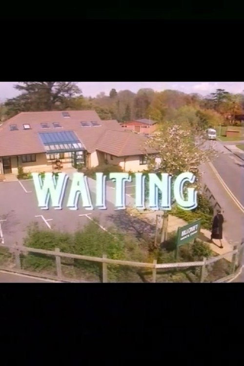 Movie poster for Waiting (1995)