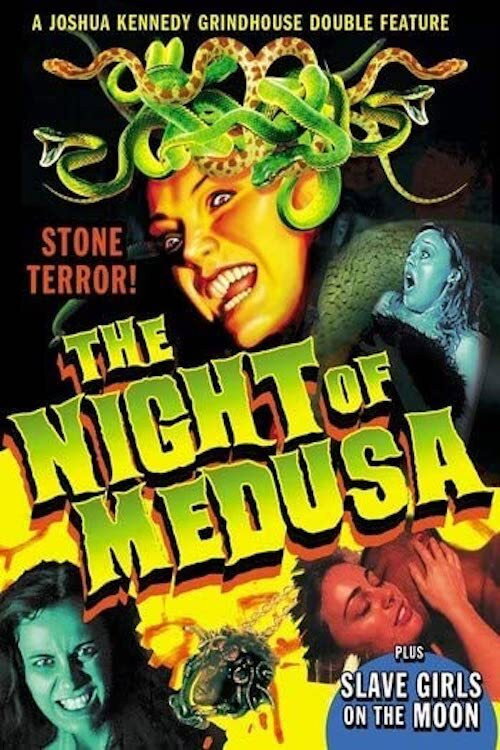 Movie poster for The Night of Medusa (2016)