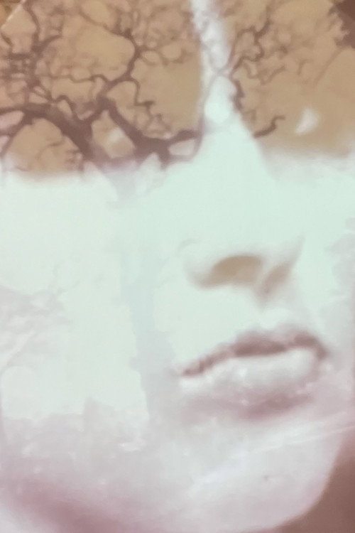 Movie poster for Ma femme (1970)
