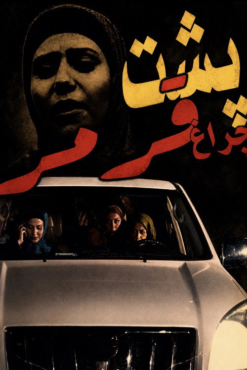 Movie poster for Behind the red light (2009)