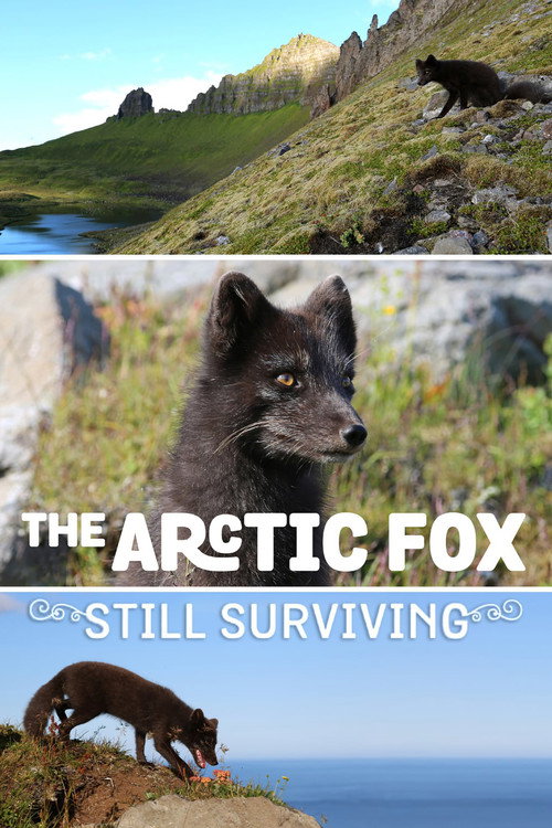 Movie poster for The Arctic Fox: Still Surviving (2015)