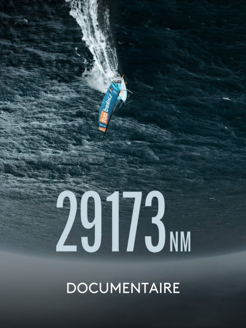 Movie poster for 29 173 NM