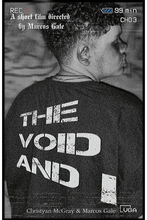 Movie poster for The Void And I (2025)