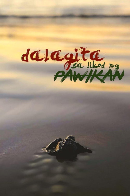 Movie poster for Dalagita sa Likod Pawikan (2020)