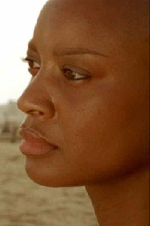 Movie poster for Fantôme Afrique (2005)