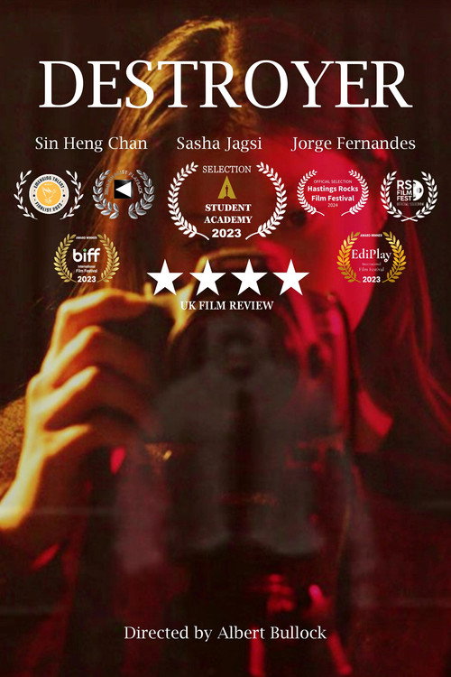 Movie poster for Destroyer (2024)