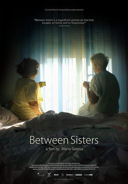 Movie poster for Between Sisters (2015)