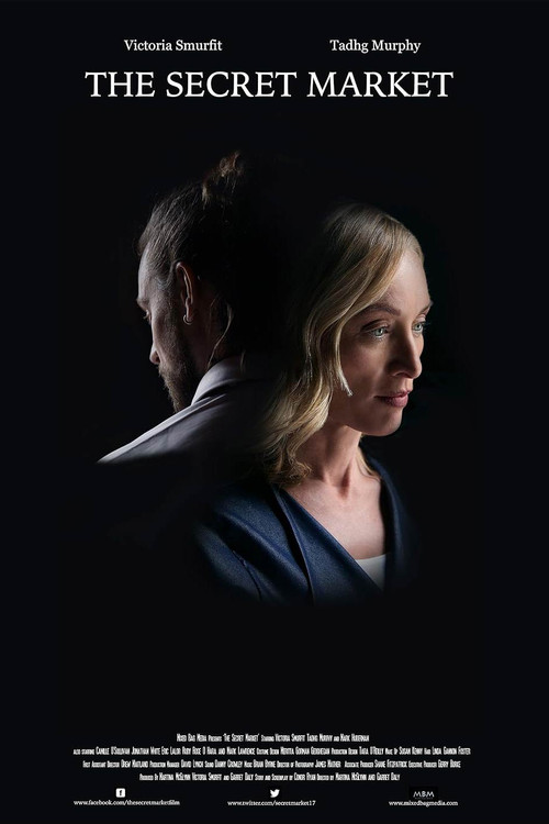 Movie poster for The Secret Market (2017)