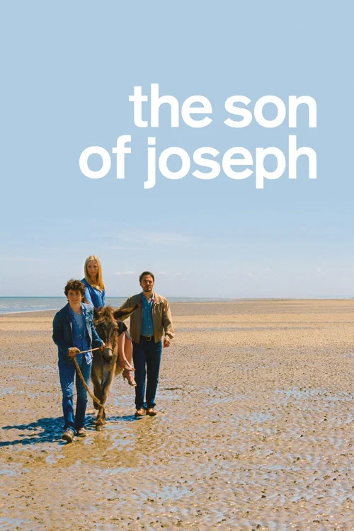 Movie poster for The Son of Joseph (2016)