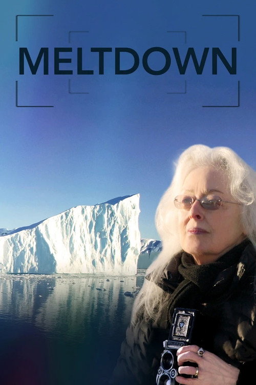 Movie poster for Meltdown (2021)