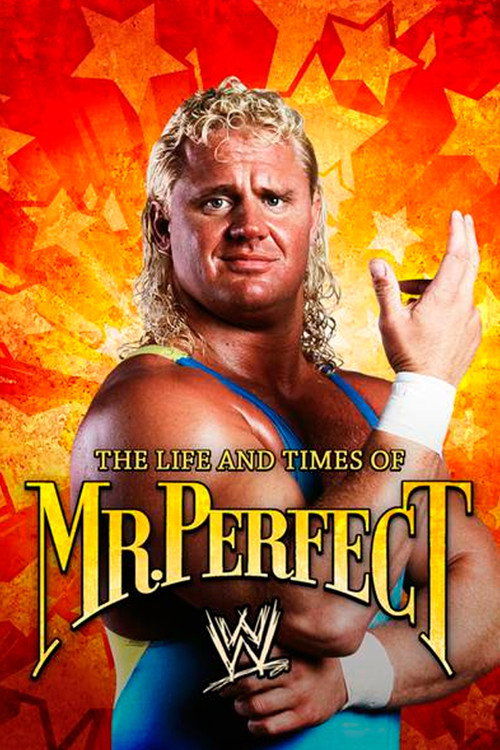 Movie poster for The Life and Times of Mr. Perfect (2008)