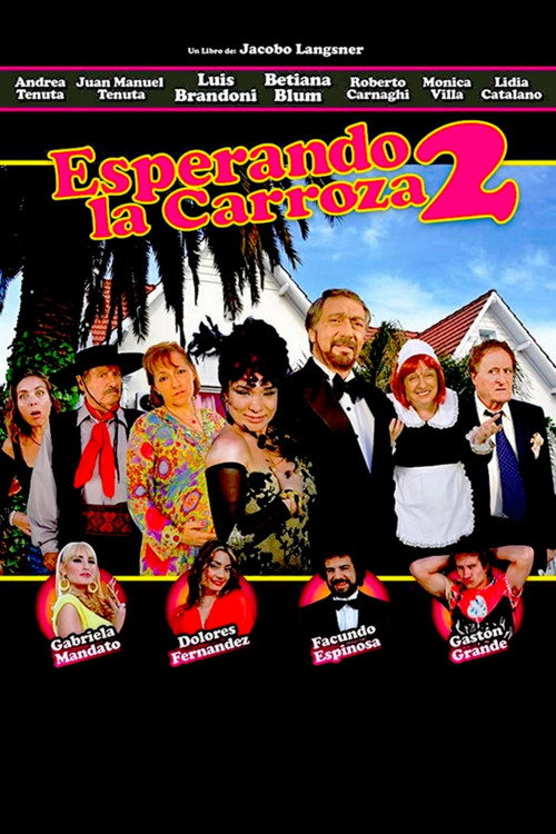 Movie poster for Waiting for the Hearse 2: The Party is Over (2009)