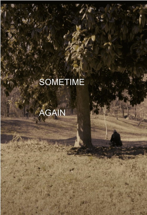Movie poster for Sometime Again