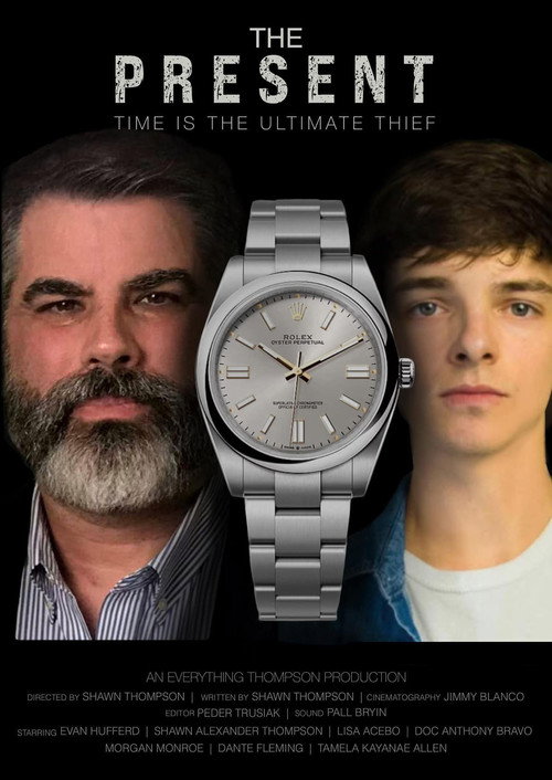 Movie poster for The Present