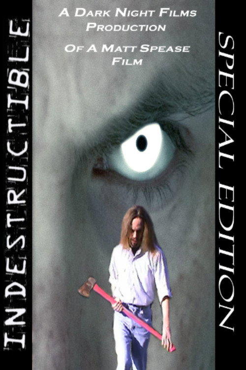 Movie poster for Indestructible (2009)
