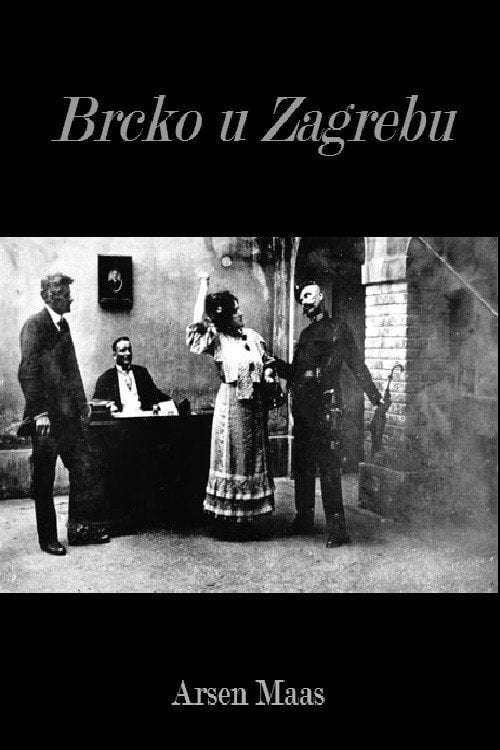 Movie poster for Brcko in Zagreb (1917)