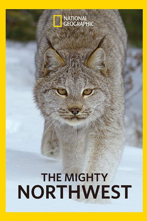 Series poster for The Mighty Northwest (2018)