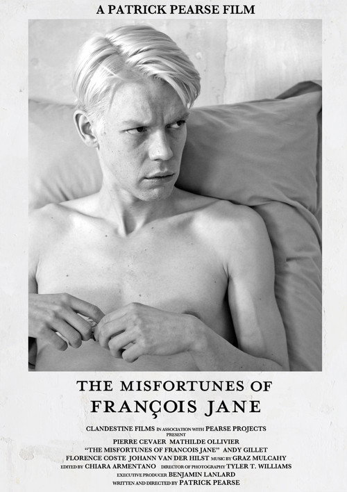 Movie poster for The Misfortunes of François Jane (2016)