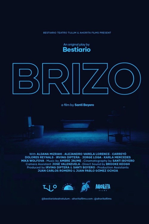 Movie poster for Brizo (2022)