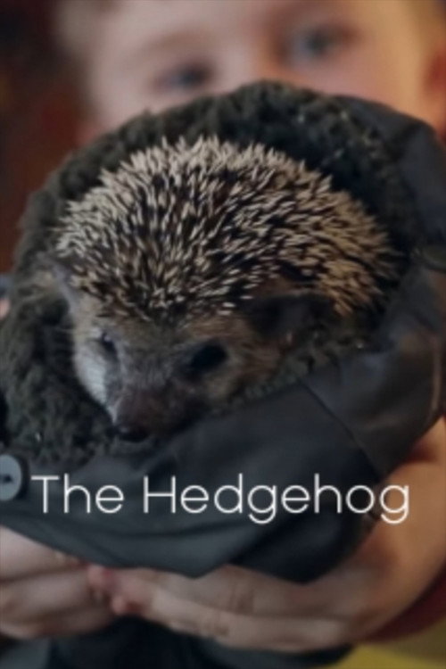 Movie poster for The Hedgehog (2011)