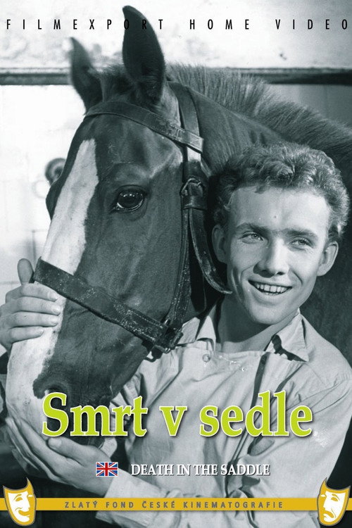 Movie poster for Death in the Saddle (1959)