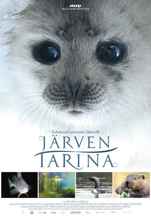 Movie poster for Tale of a Lake (2016)