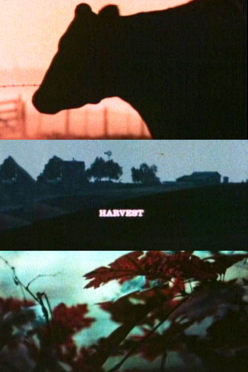 Movie poster for Harvest (1967)