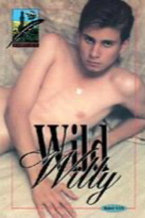 Movie poster for If Six Boys Have Sex (1995)