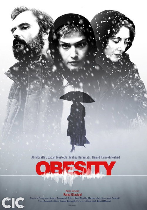 Movie poster for Obesity (2015)