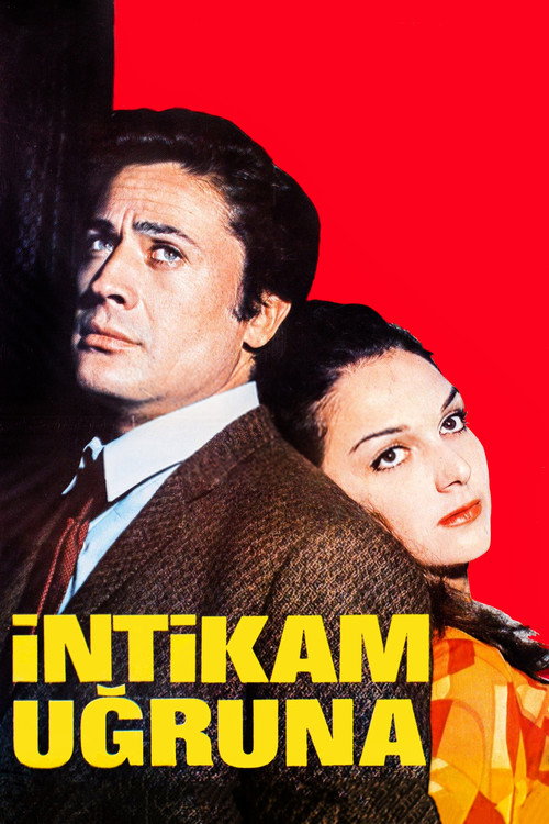 Movie poster for İntikam Uğruna (1966)