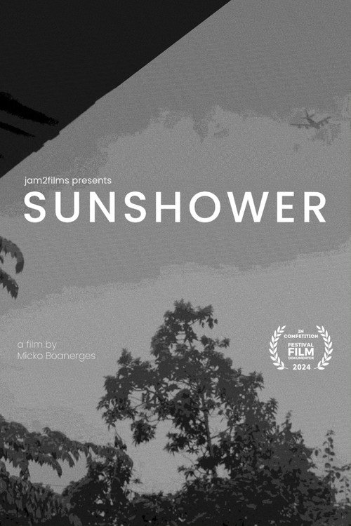 Movie poster for Sunshower (2024)